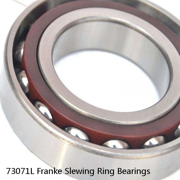 73071L Franke Slewing Ring Bearings