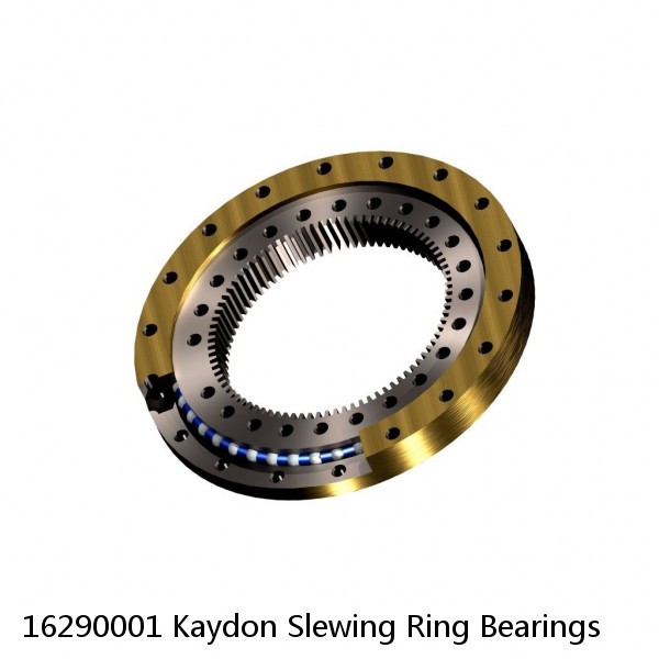 16290001 Kaydon Slewing Ring Bearings