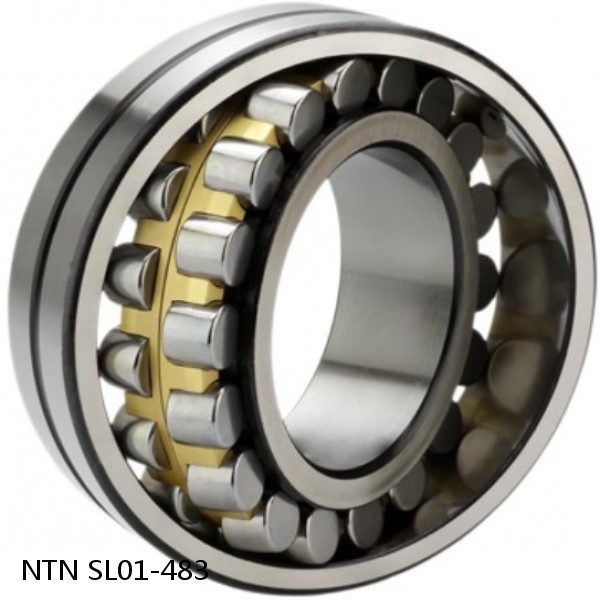 SL01-483 NTN Cylindrical Roller Bearing
