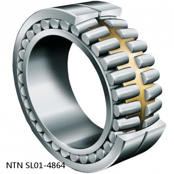 SL01-4864 NTN Cylindrical Roller Bearing