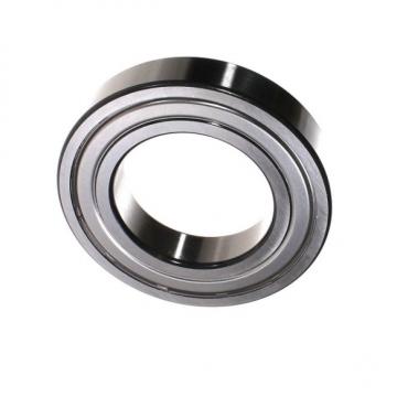 Khk 4 5 21mm Caged Thrust Needle Roller Bearing Misalignment 35X52X4 1/2 Inch Sizes Nk HK 2520 25mm ID HK0810 Needle Roller Bearing with Flange Without Cage