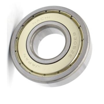 OEM Hot Selling New Anti-Corrosion Pressure Extended Inner Ring Bearing