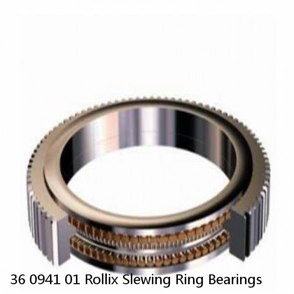 36 0941 01 Rollix Slewing Ring Bearings