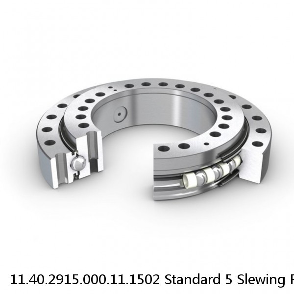 11.40.2915.000.11.1502 Standard 5 Slewing Ring Bearings