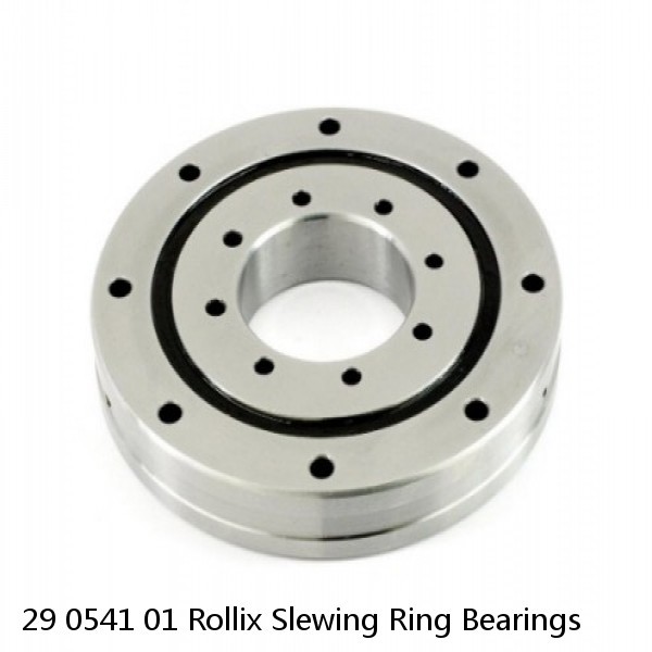 29 0541 01 Rollix Slewing Ring Bearings