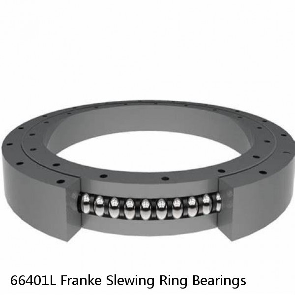 66401L Franke Slewing Ring Bearings