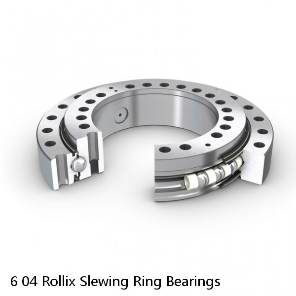 6 04 Rollix Slewing Ring Bearings