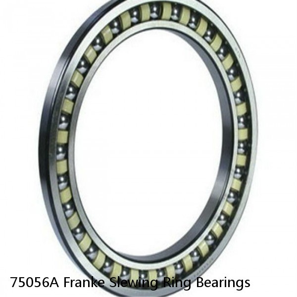 75056A Franke Slewing Ring Bearings