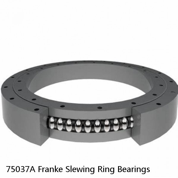 75037A Franke Slewing Ring Bearings