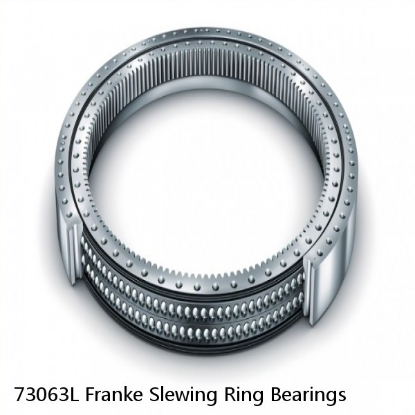 73063L Franke Slewing Ring Bearings