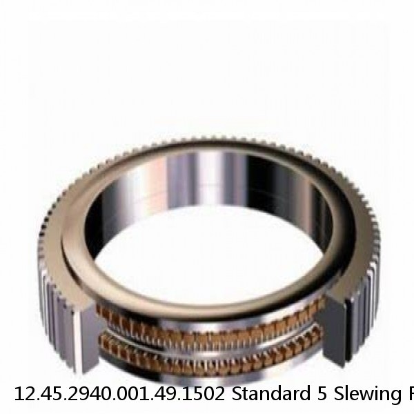 12.45.2940.001.49.1502 Standard 5 Slewing Ring Bearings