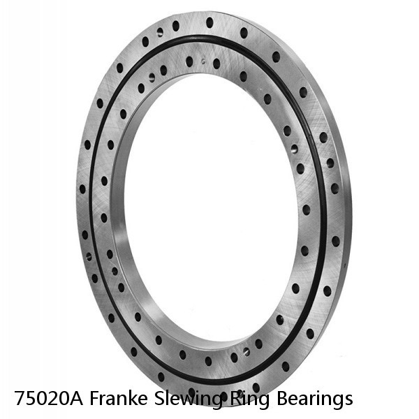 75020A Franke Slewing Ring Bearings