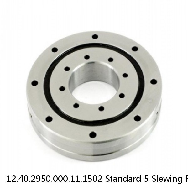 12.40.2950.000.11.1502 Standard 5 Slewing Ring Bearings