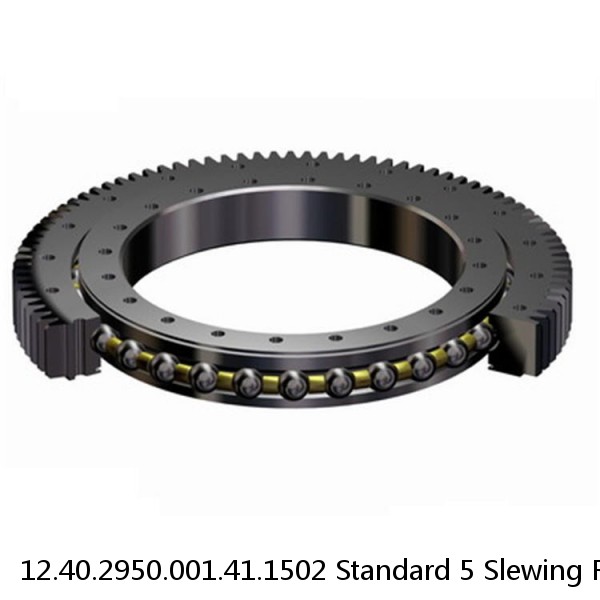 12.40.2950.001.41.1502 Standard 5 Slewing Ring Bearings