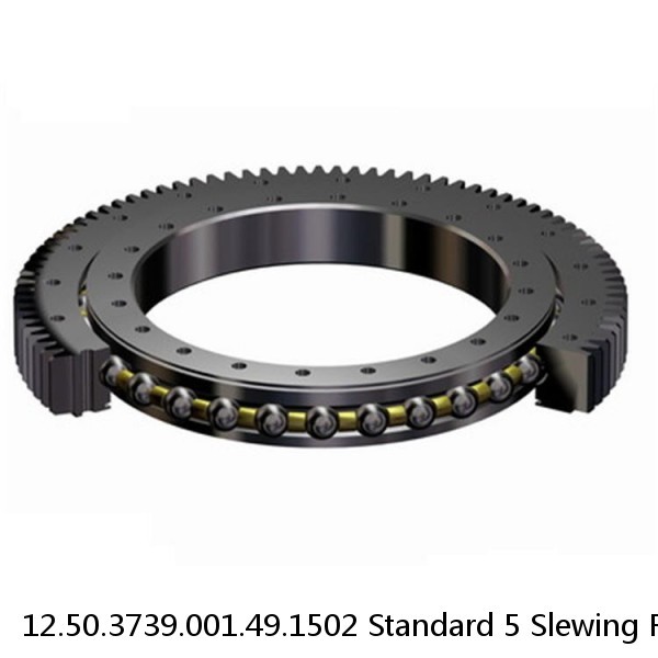 12.50.3739.001.49.1502 Standard 5 Slewing Ring Bearings