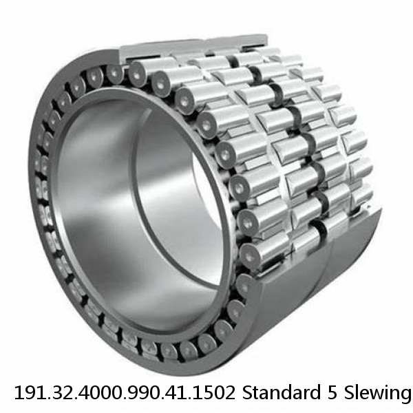 191.32.4000.990.41.1502 Standard 5 Slewing Ring Bearings