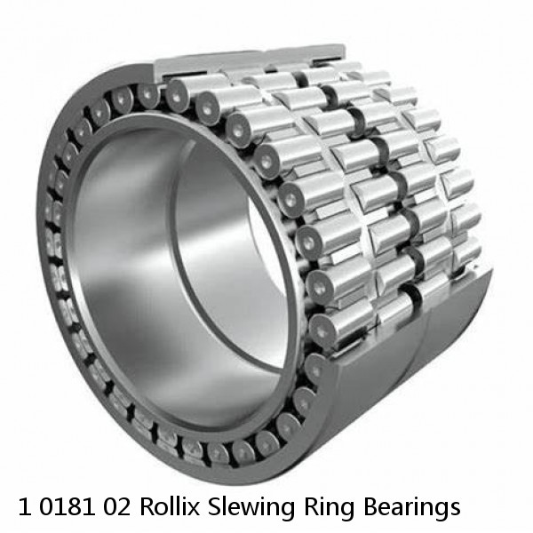 1 0181 02 Rollix Slewing Ring Bearings