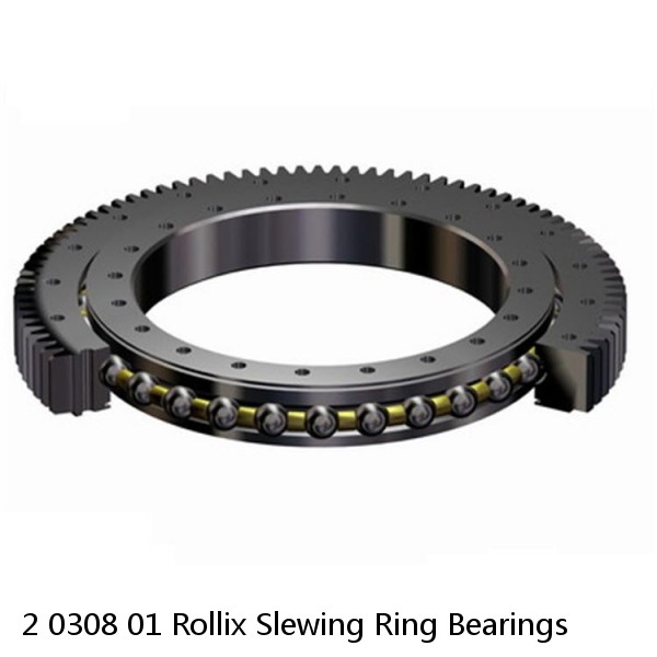 2 0308 01 Rollix Slewing Ring Bearings