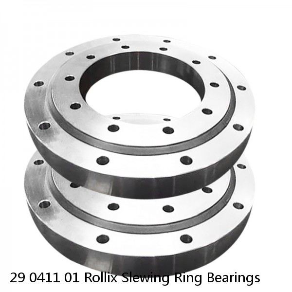 29 0411 01 Rollix Slewing Ring Bearings