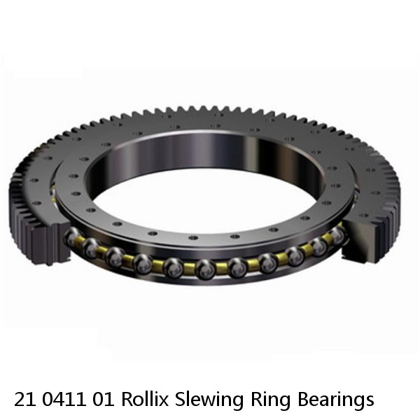 21 0411 01 Rollix Slewing Ring Bearings