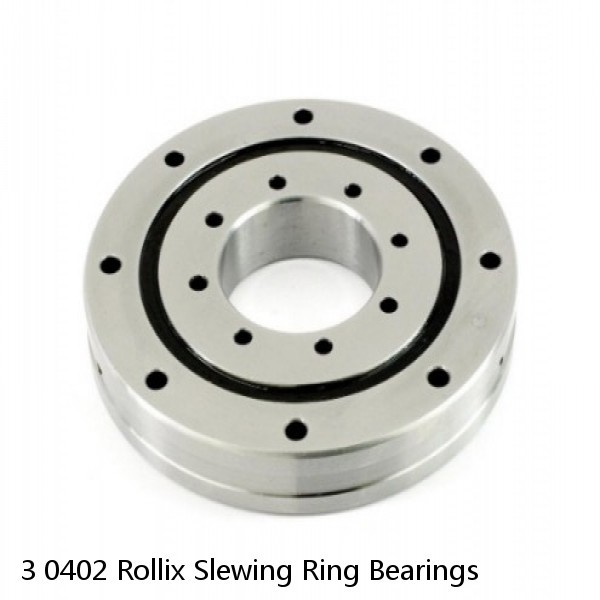 3 0402 Rollix Slewing Ring Bearings