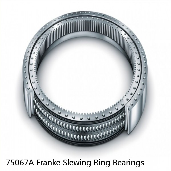 75067A Franke Slewing Ring Bearings