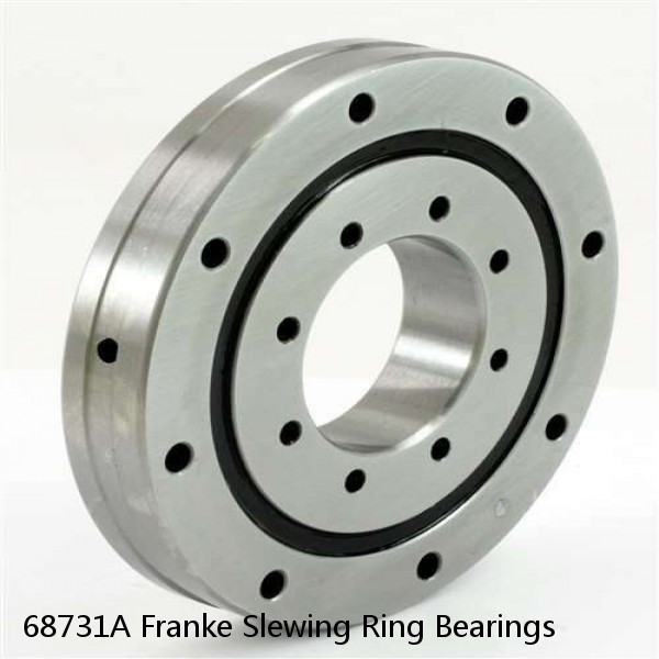 68731A Franke Slewing Ring Bearings