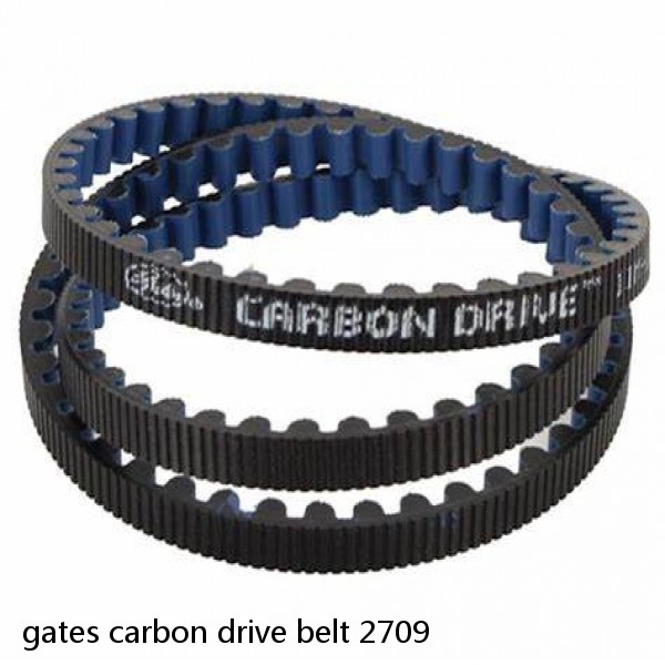 gates carbon drive belt 2709