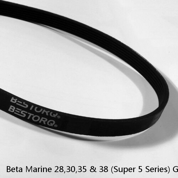 Beta Marine 28,30,35 & 38 (Super 5 Series) Genuine Service Kit & Poly Vee Belt