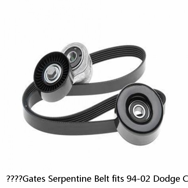 ????Gates Serpentine Belt fits 94-02 Dodge Cummins Diesel 5.9L Diesel with AC????