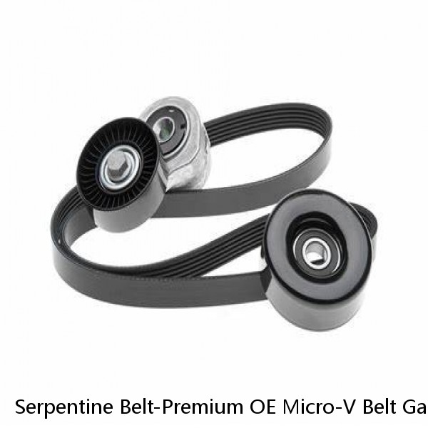Serpentine Belt-Premium OE Micro-V Belt Gates K080702